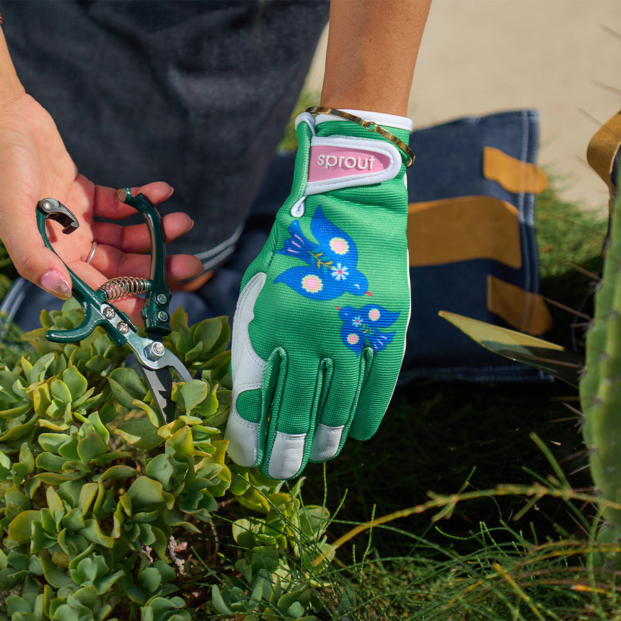 Sprout Goatskin Gloves
