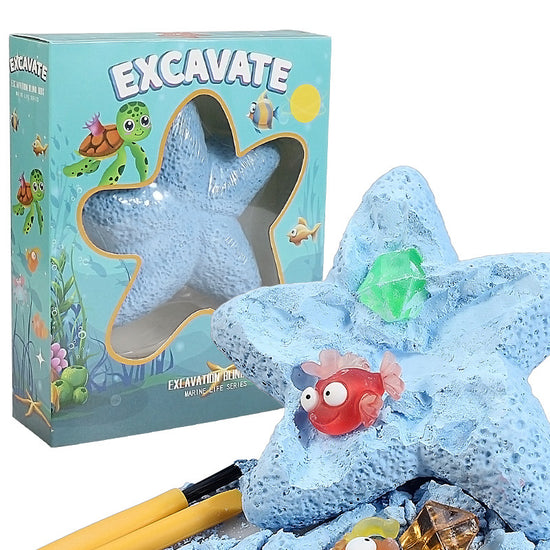 Excavation Belind Box - Marine Life