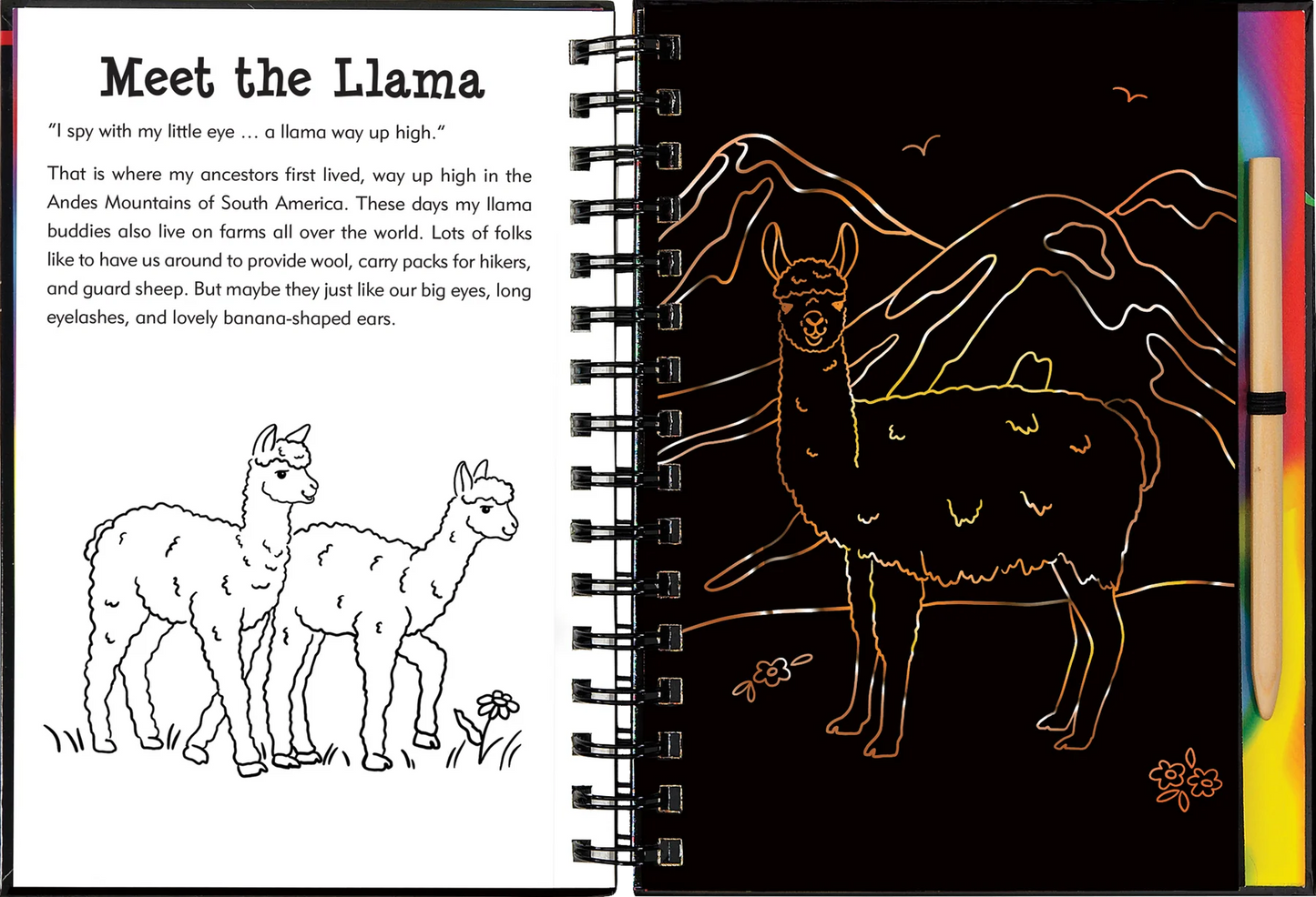 Scratch and Sketch - Llamas and Friends