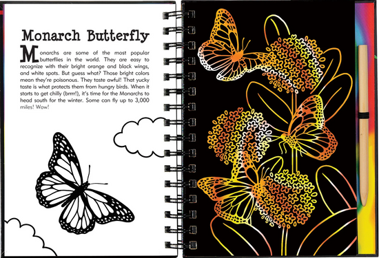 Scratch and Sketch - Butterflies and Friends